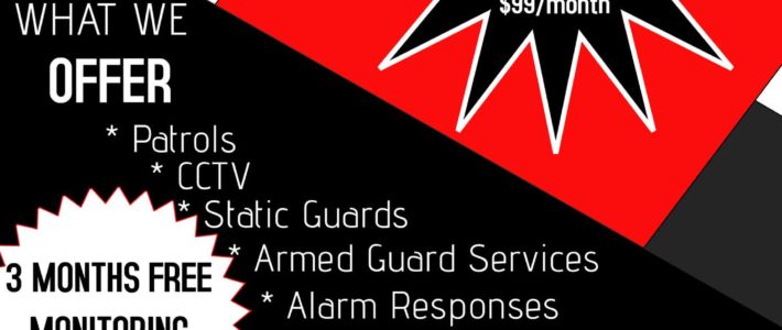 Phoenix Security Solutions flyer